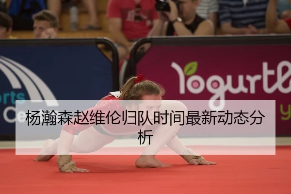杨瀚森赵维伦归队时间最新动态分析
